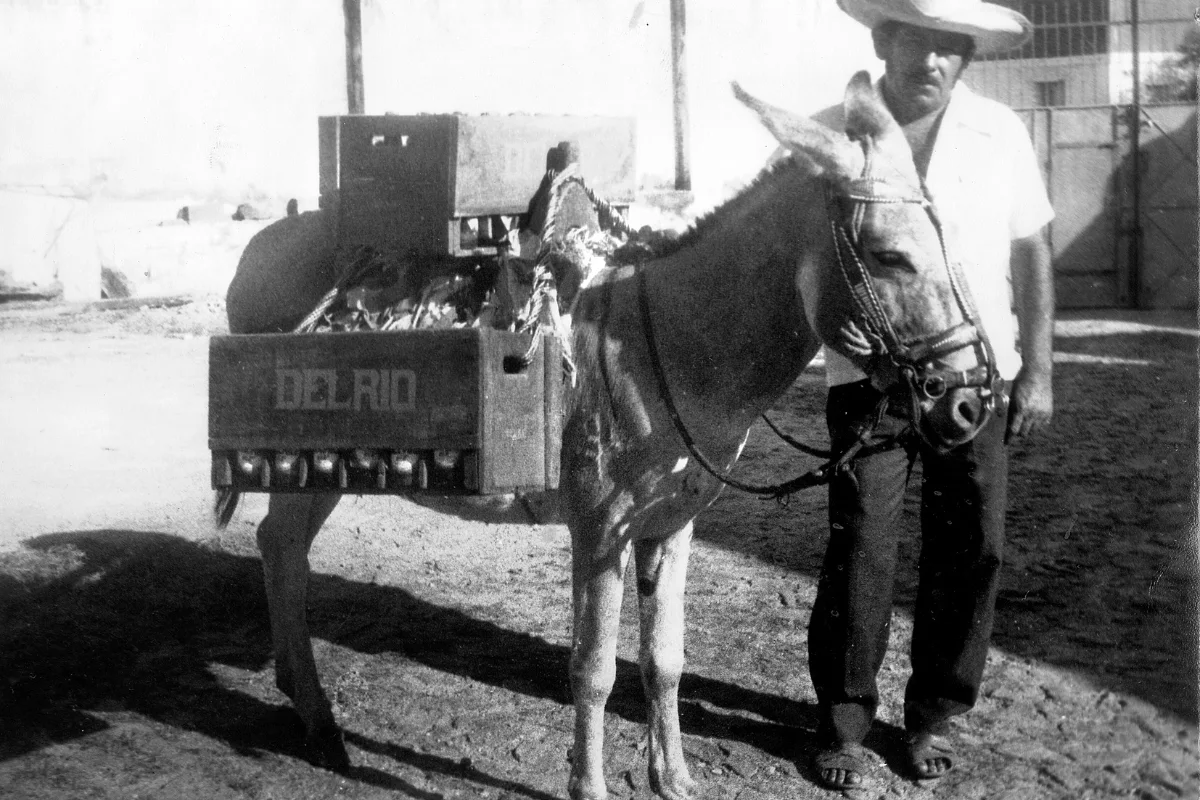 Entrega antiga da Delrio realizada com animal de carga.